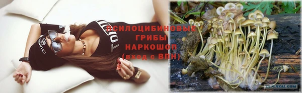 сатива Нягань