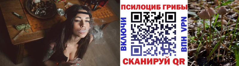 ссылка на мегу ссылки  Сосенский  Псилоцибиновые грибы GOLDEN TEACHER 